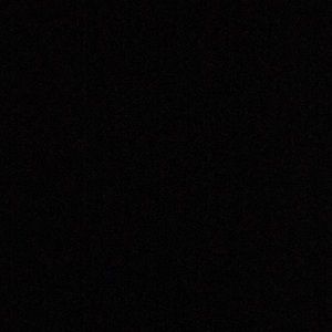 Meet your Posher, Bryce